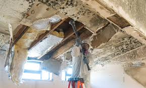 Best Asbestos and Lead Testing During Mold Inspection  in Spring Mount, PA